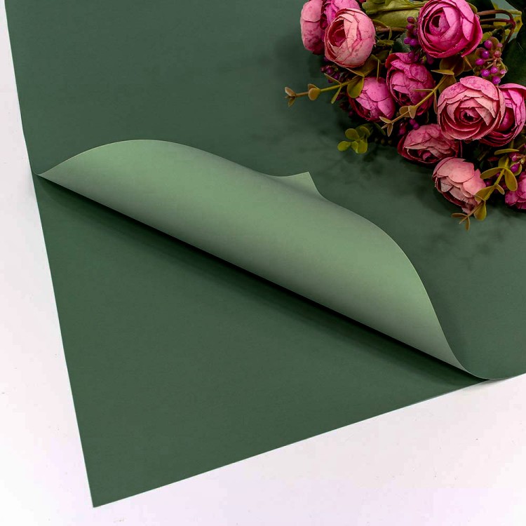 1631/2410 Плёнка в листах 55*55 (20 шт.) матовая двухсторонняя 65мкм Серая спаржа/Серо-зелёный 1/60