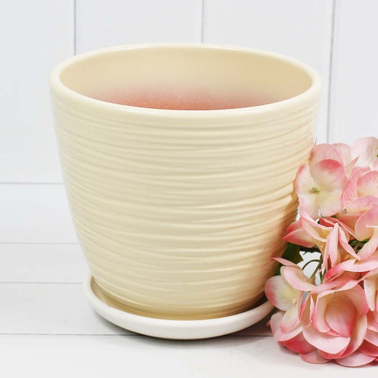 КС-К2-148-32 Шорвель шампань  крокус №2 H-13см D-14,5см