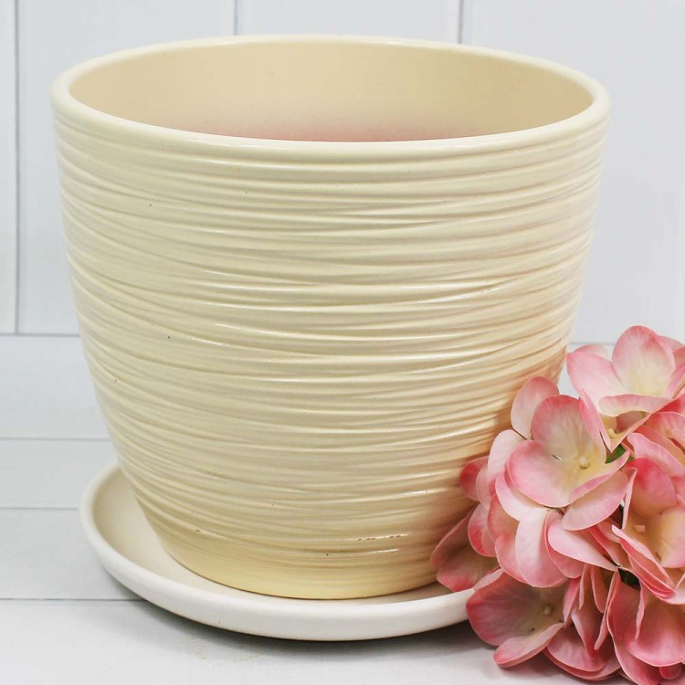 КС-К3-148-32 Шорвель шампань  крокус №3 H-15см D-17,5см