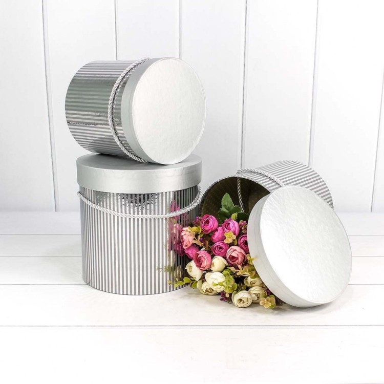 7201000/430 Набор коробок 1/3 цилиндр 19,5*19 см серебряный 1/12