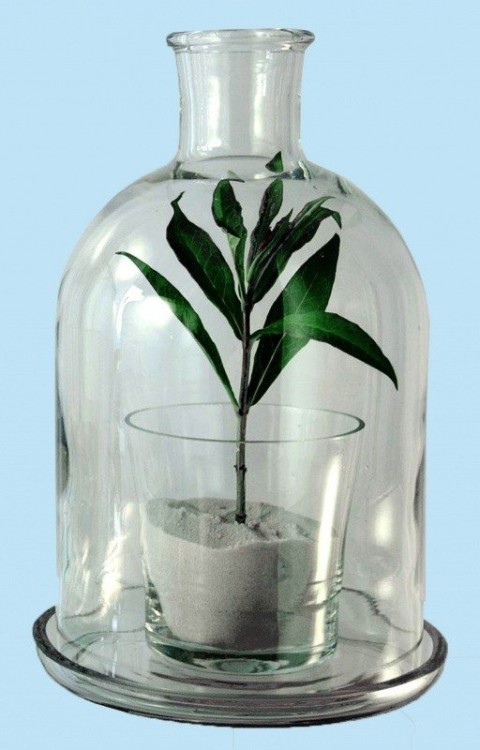 2288 Мини - флорариум H-420мм D-235*260мм (10 л)